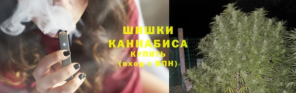 мет Грязовец