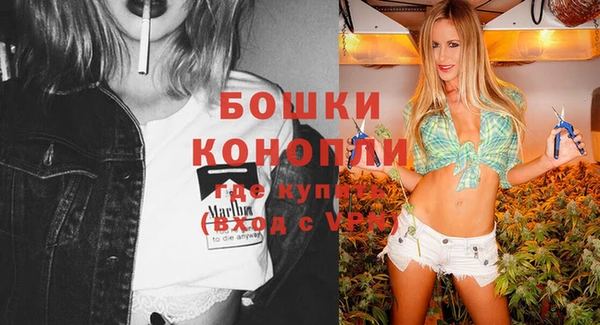 дживик Елабуга