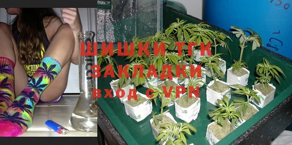 ПСИЛОЦИБИНОВЫЕ ГРИБЫ Губаха