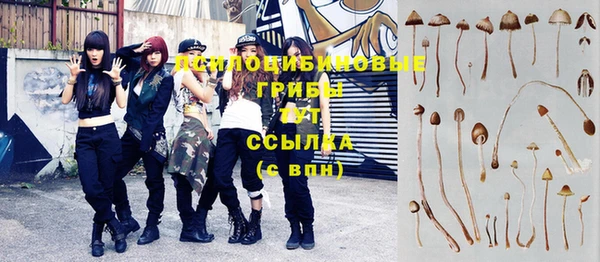 ПСИЛОЦИБИНОВЫЕ ГРИБЫ Губаха