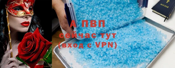 ПСИЛОЦИБИНОВЫЕ ГРИБЫ Губаха