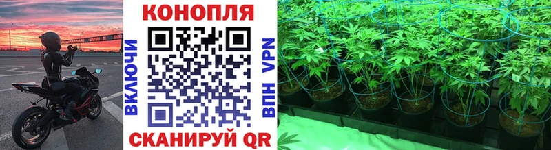 Канабис MAZAR  даркнет сайт  Емва 
